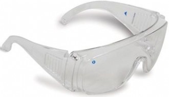 Pro Choice VISITORS Safety Spec