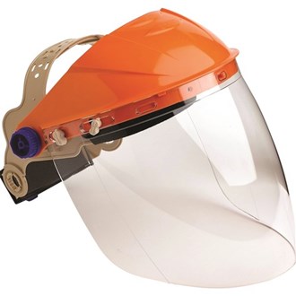 Pro Choice Browguard With Visor Clear Lens (Economy)